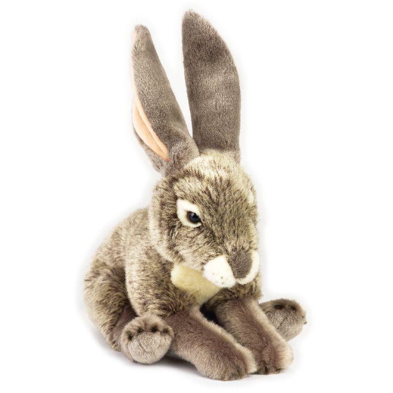 National Geographic Premium Jack Rabbit 770815