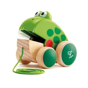 Hape Frog-Themed Push & Pull Along Toy