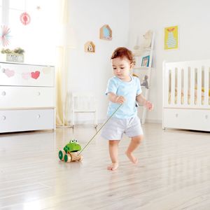 Hape Frog-Themed Push & Pull Along Toy