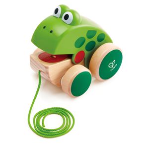 Hape Frog-Themed Push & Pull Along Toy