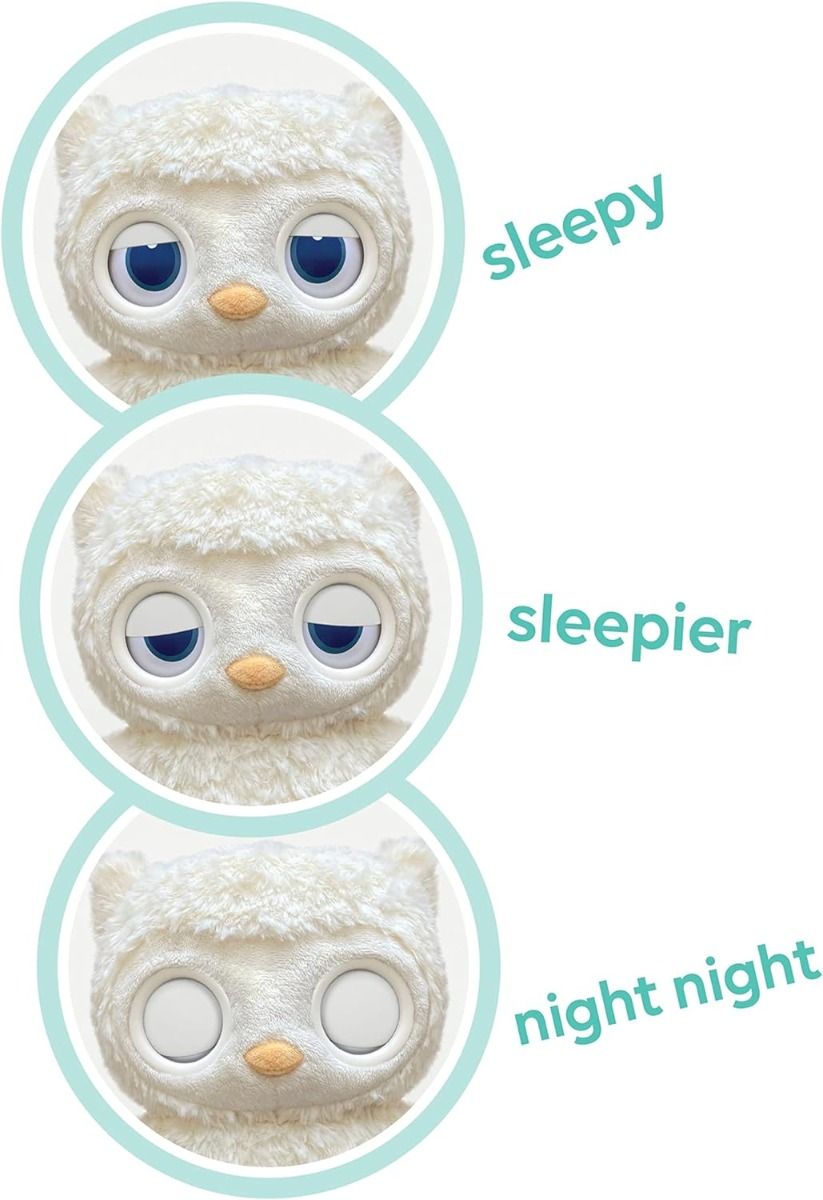 Gund Sleepy Eyes Owl Soother 6061071