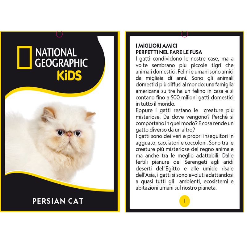 National Geographic Premium Persian Cat 770670